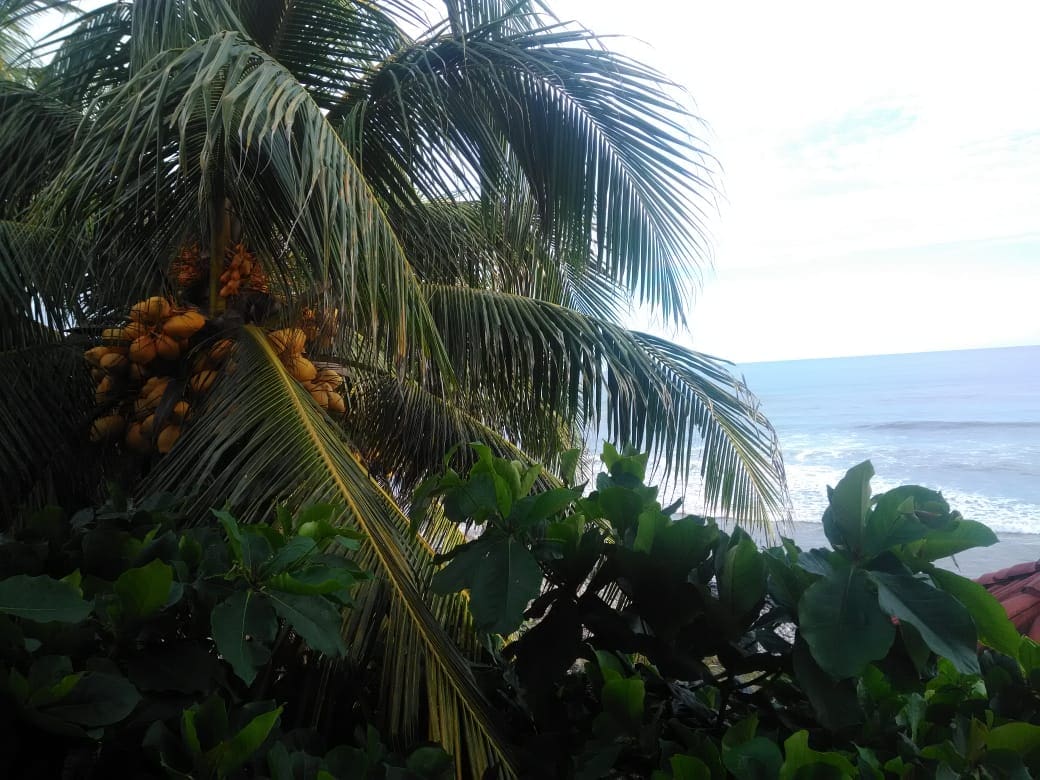 42761222_164779244432028_6919389182271946752_n