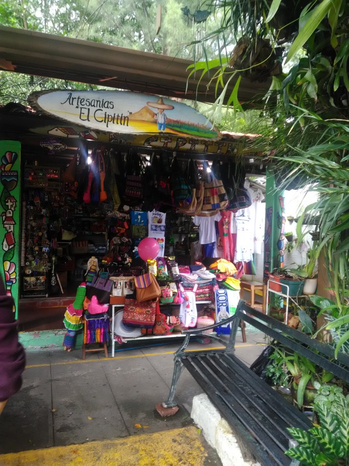 P_20181019_121321[1]