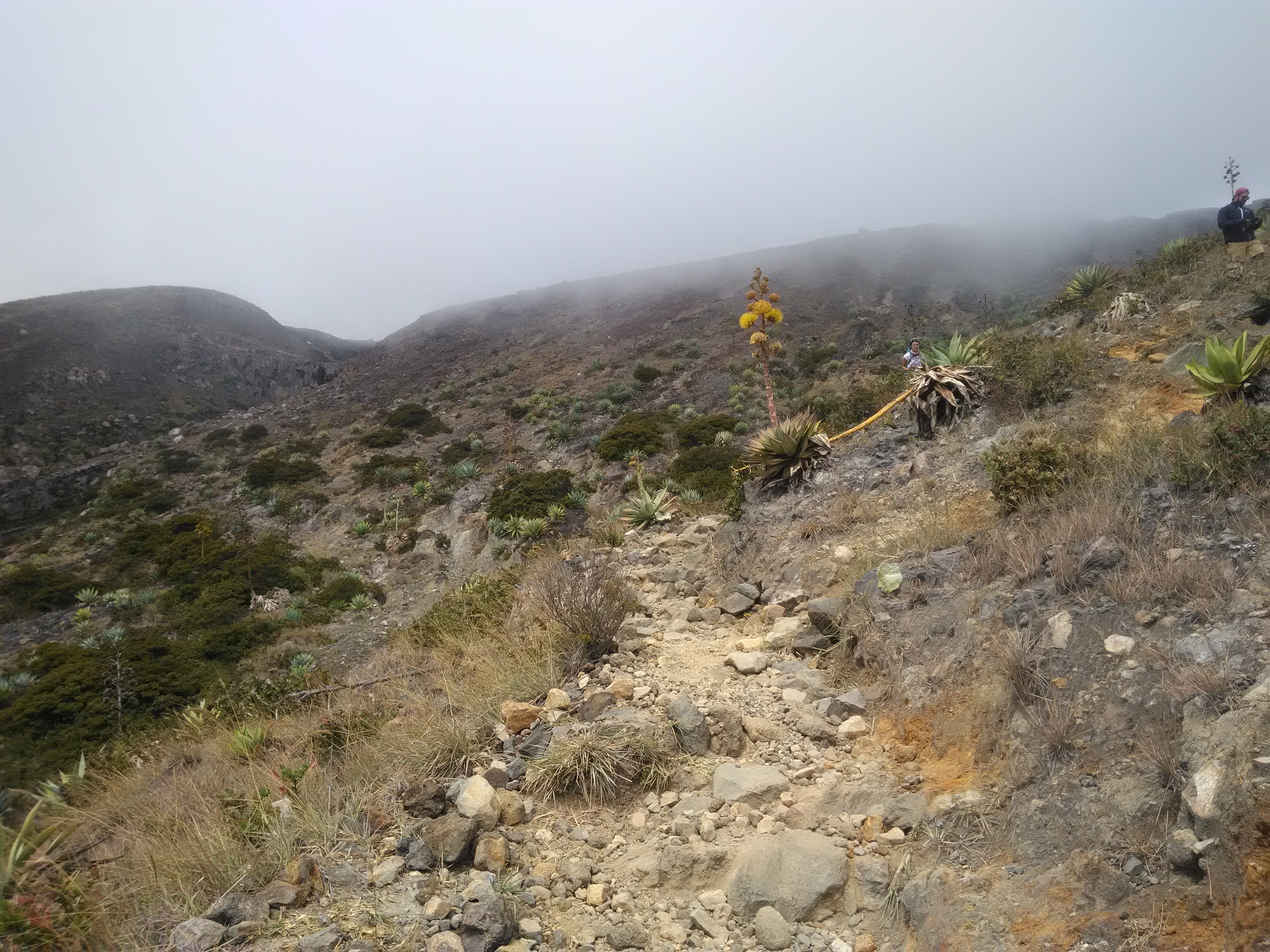 p_20190116_123755_hdr