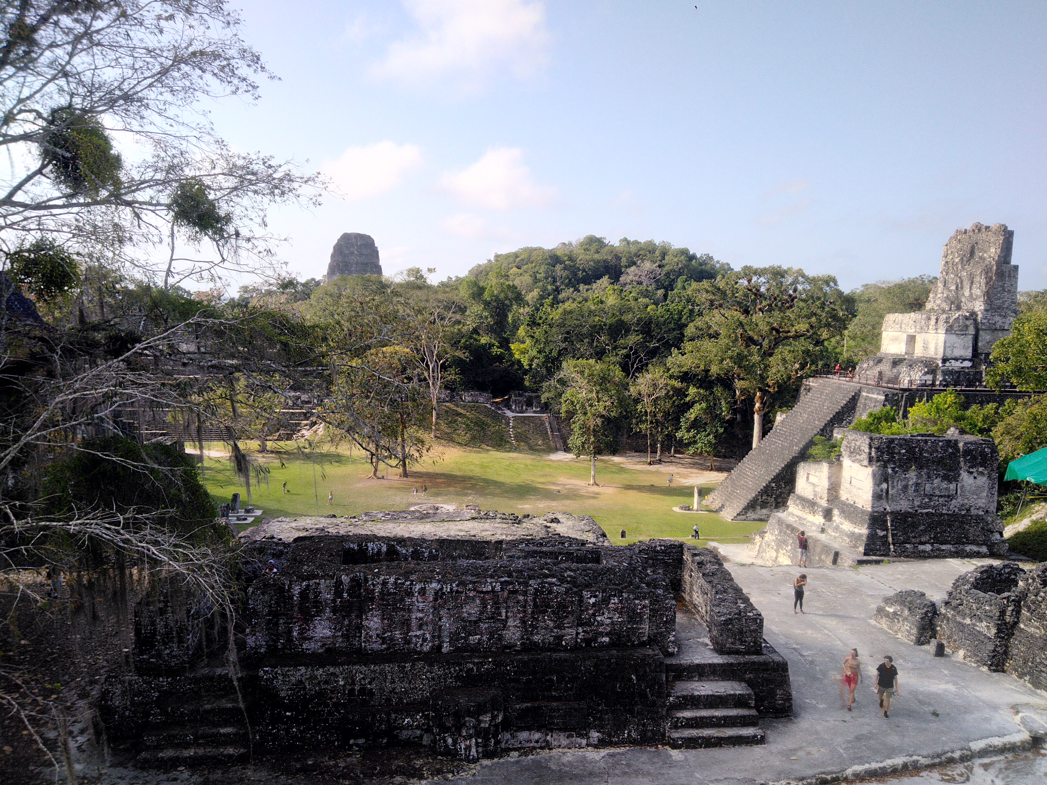 P_20190221_085426_HDR