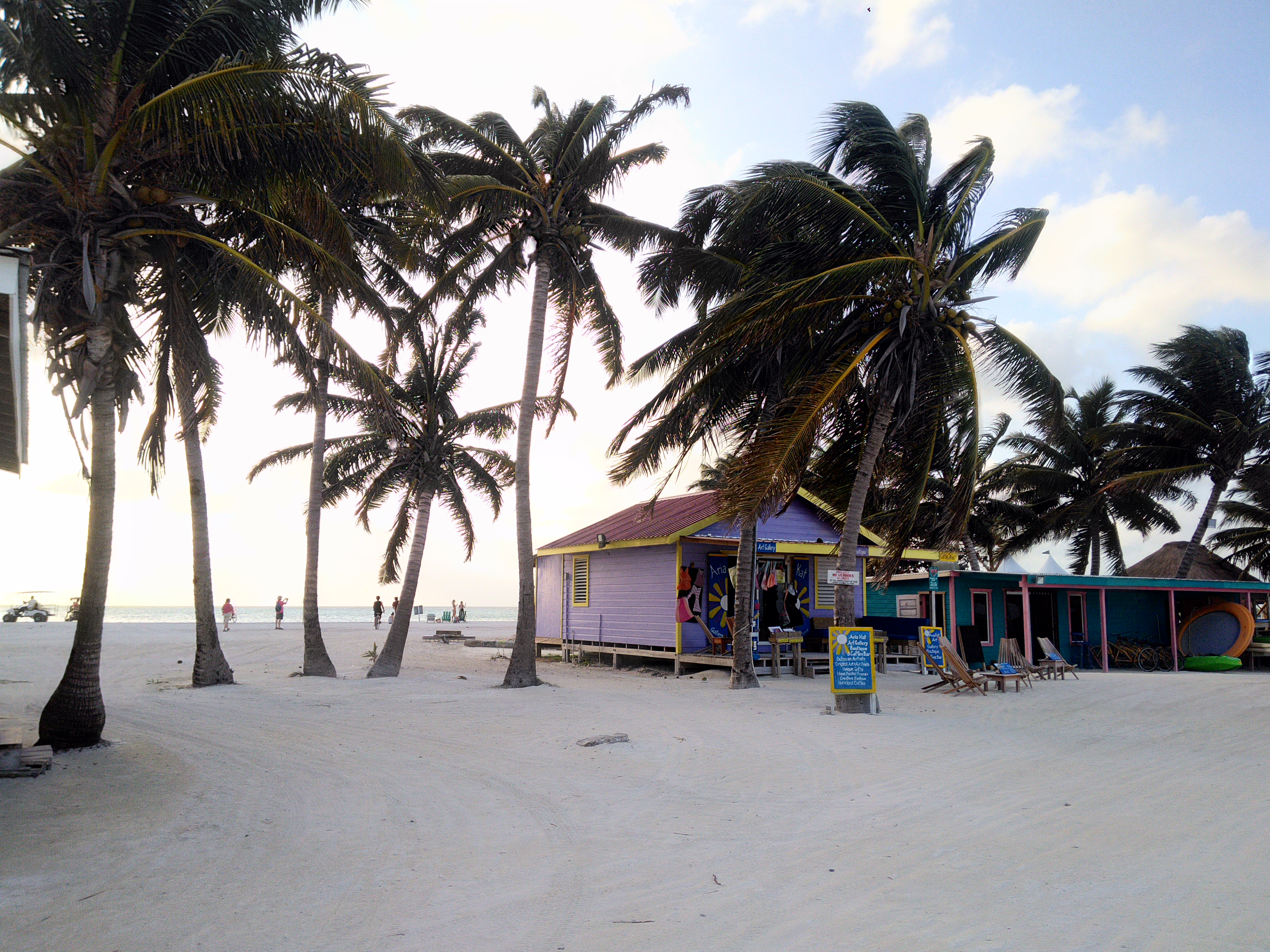 P_20190222_171039_HDR