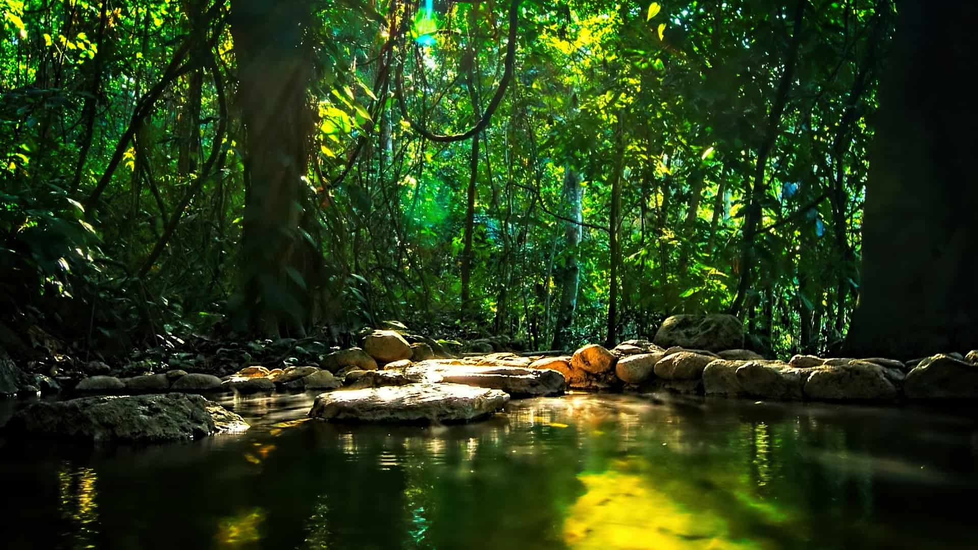 luna-jaguar-hot-springs-spa