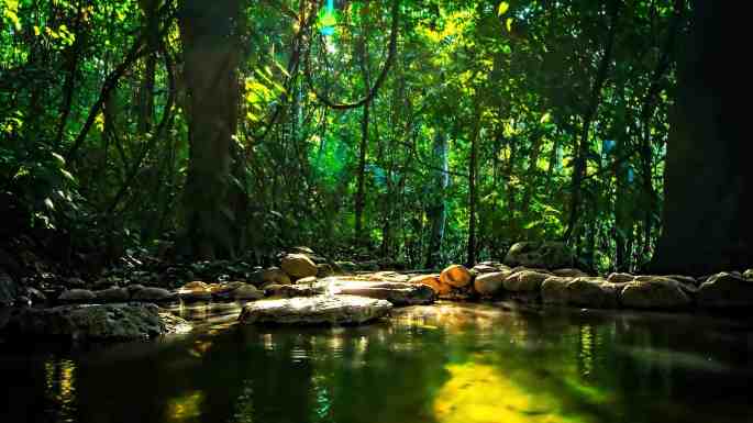 luna-jaguar-hot-springs-spa