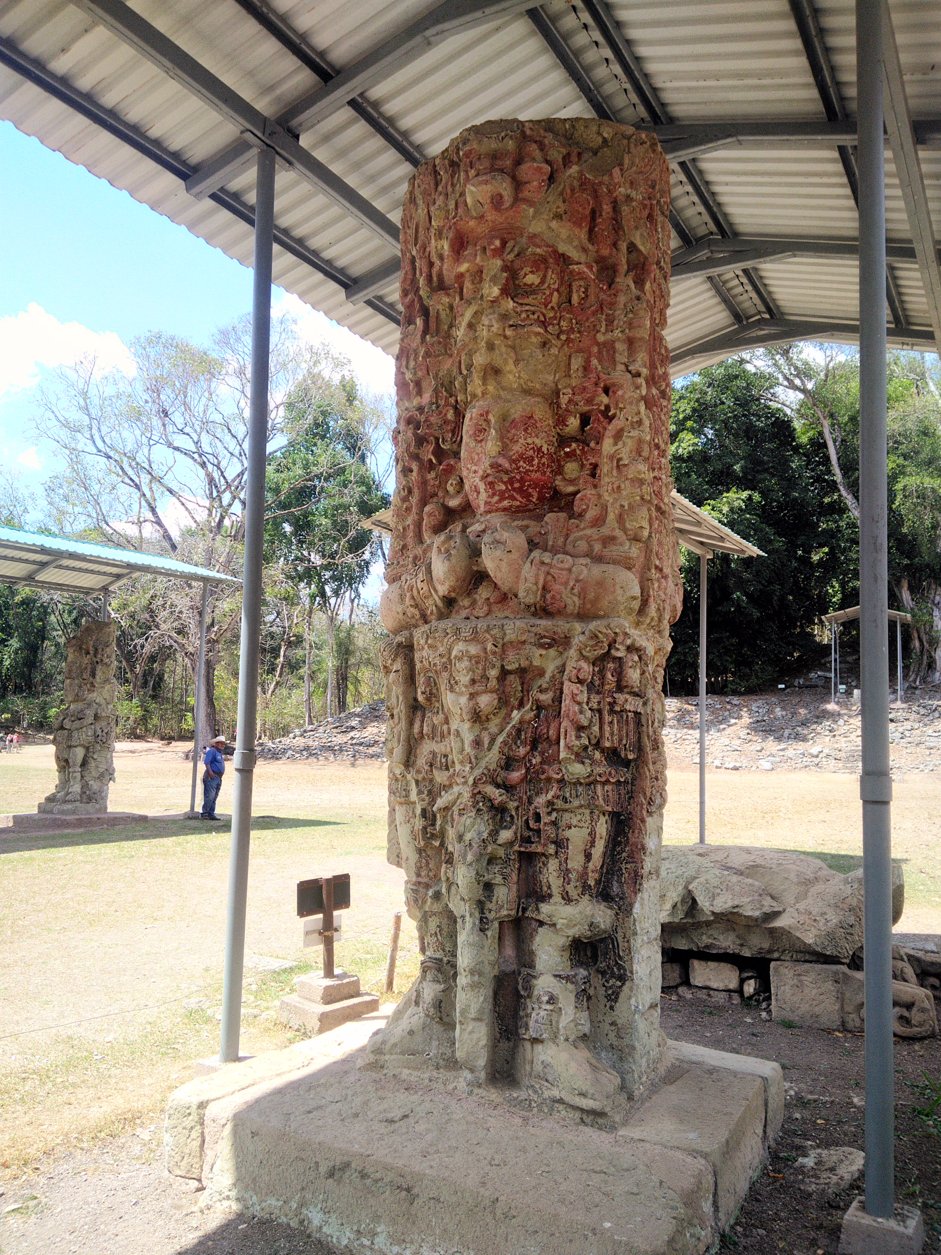 P_20190302_111115_HDR