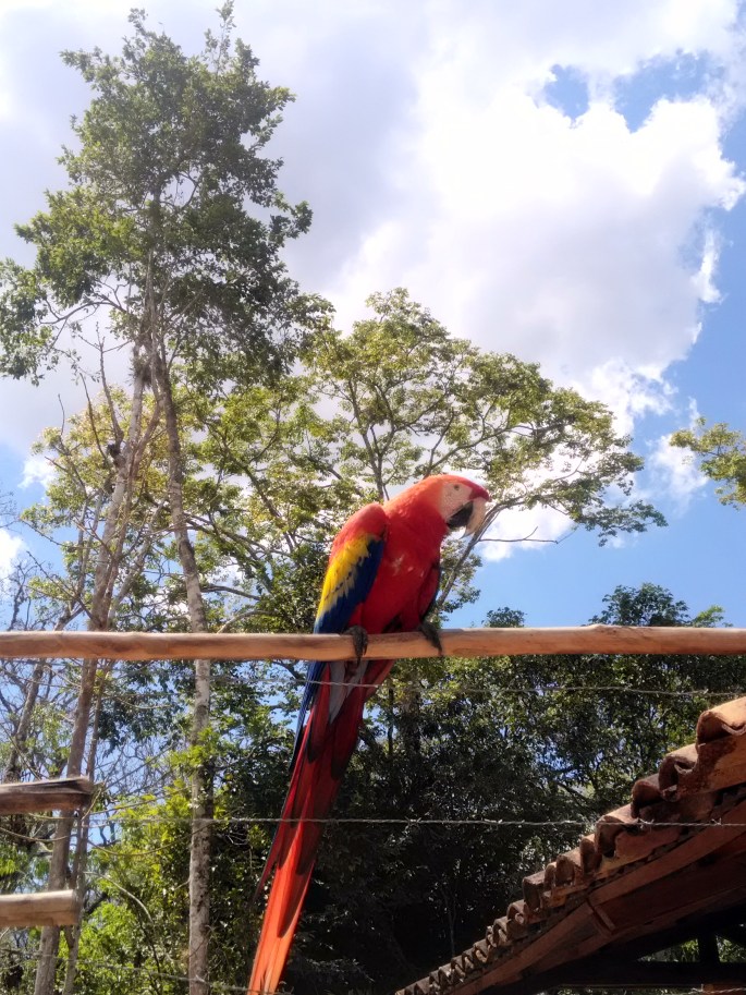 P_20190302_130324_HDR