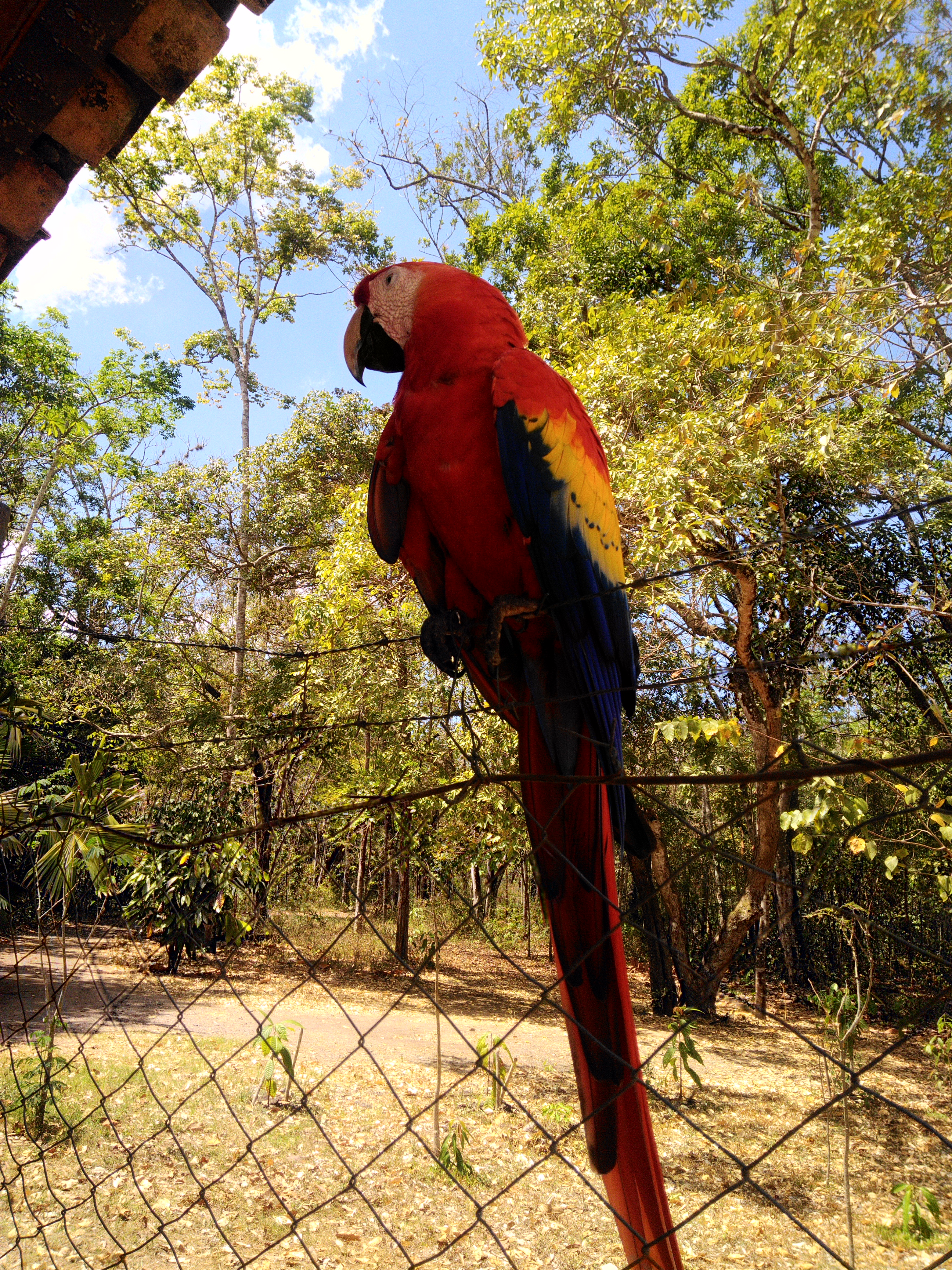 P_20190302_130504_HDR