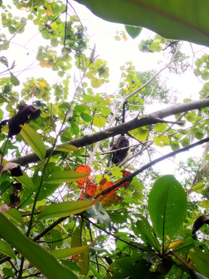 P_20190320_123632_HDR