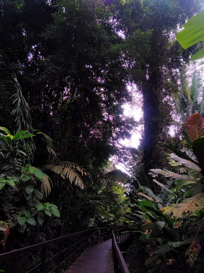 P_20190320_135824_HDR